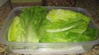 Washed Romaine